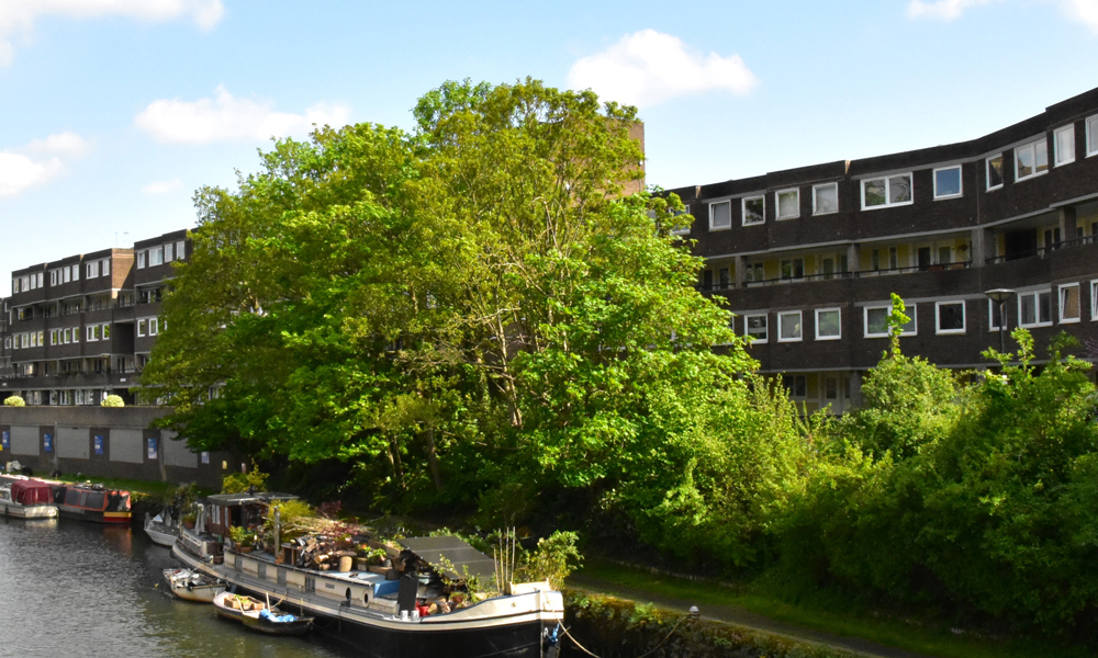 Quilliam Independent Estate Agents in Brentford